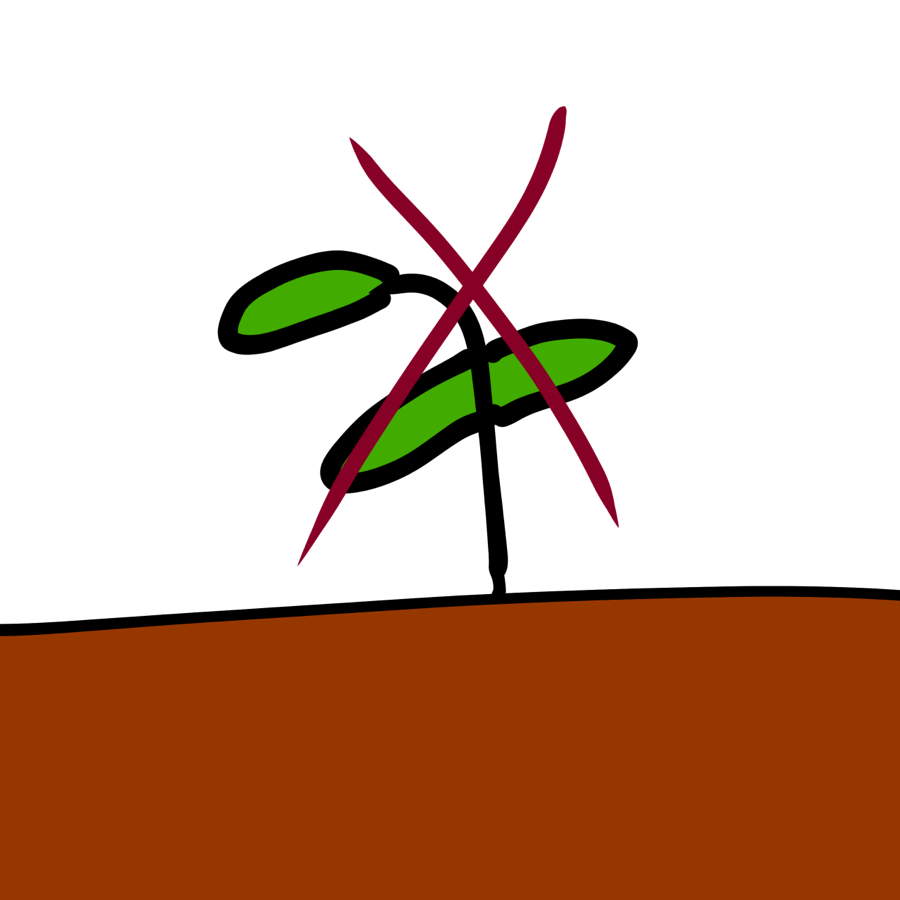 a sapling coming out of barren ground with an X over the sapling.